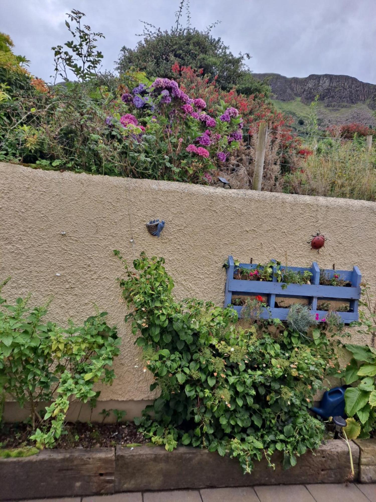 Lurig View B&B Glenariff Exterior foto