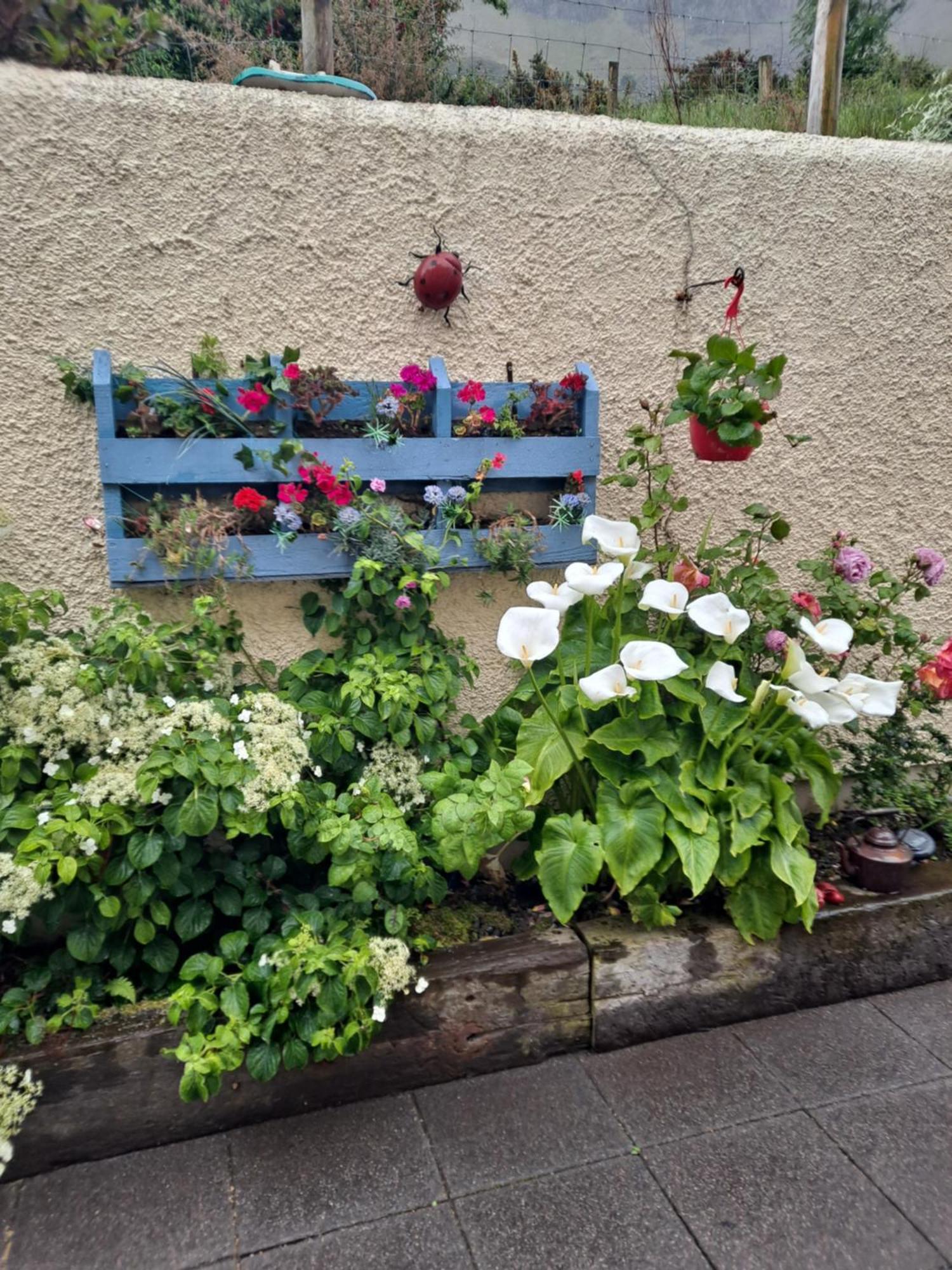 Lurig View B&B Glenariff Exterior foto