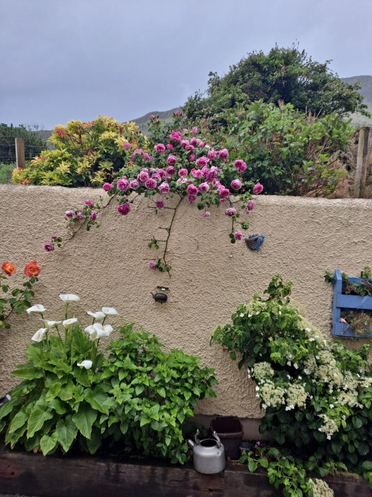 Lurig View B&B Glenariff Exterior foto